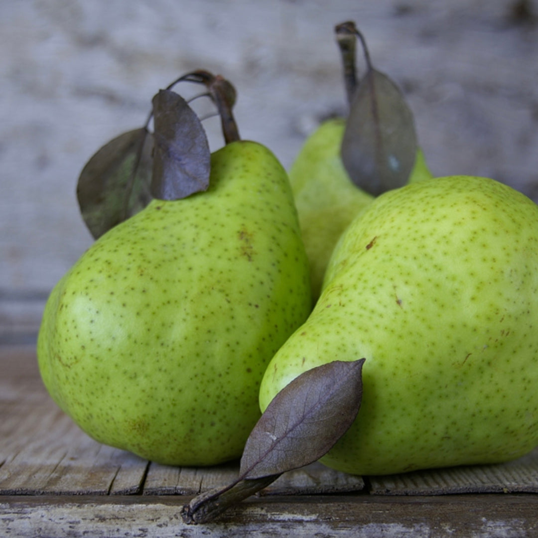 FRENCH PEAR